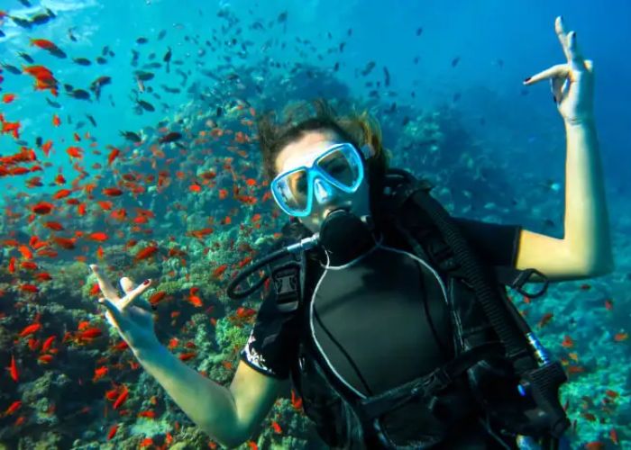 Diving Around Australia