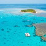 lady musgrave island