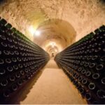 Top 3 Champagne Cellars in Reims That You Must Visit