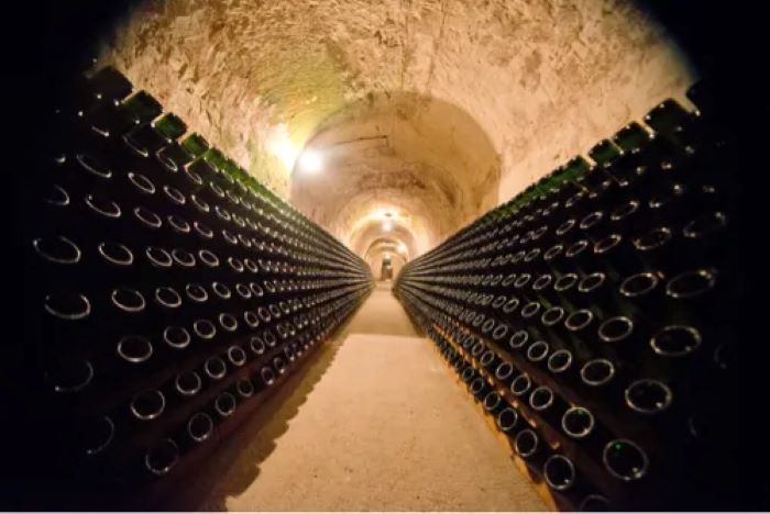 Top 3 Champagne Cellars in Reims That You Must Visit