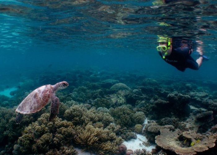 Coral Bay Exploring Ningaloo Reef