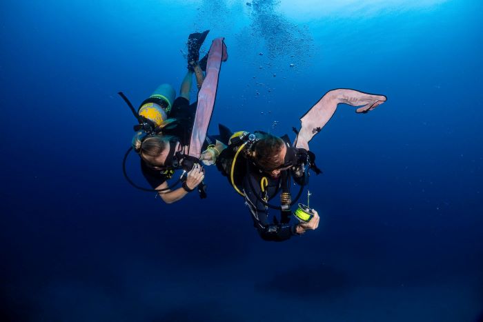 What Should You Expect from a Divemaster Course?